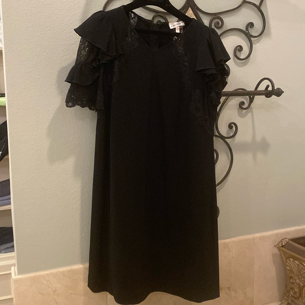 Lace sleeve dress